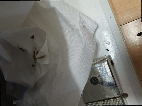 중랑구 묵1동 하수구막힘 배수 상태와 주변 누수 여부를 확인하는 현장 점검 모습